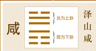 澤山卦|澤山咸䷞：易經簡易解析 — 剛柔互動的第三十一咸。